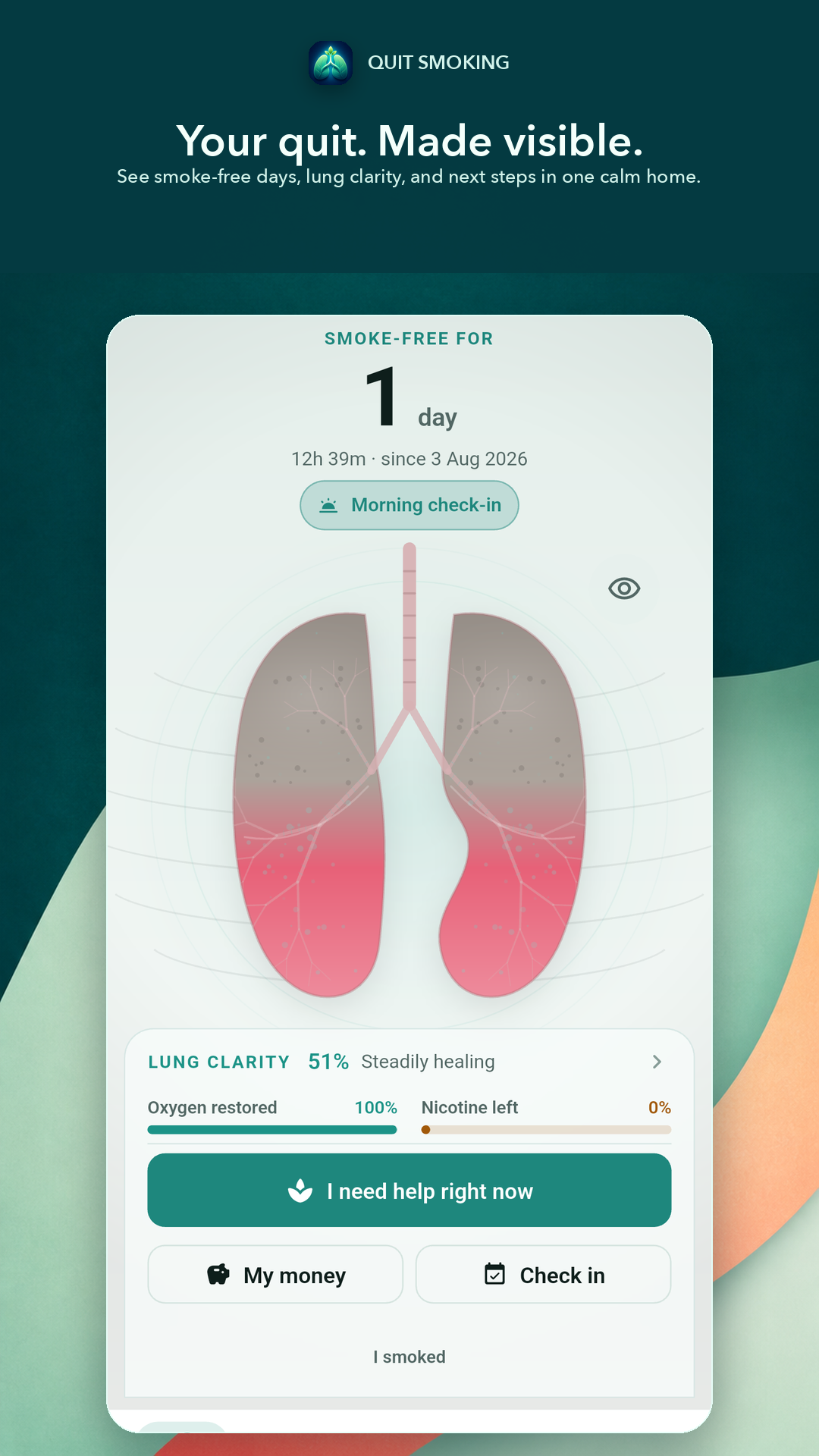 Quit Smoking app home screen showing smoke-free progress
